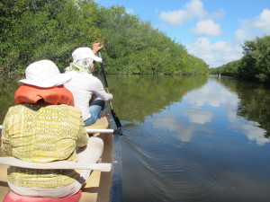 Florida canoeing
