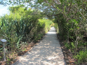 Florida trail