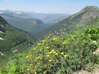 Glacier Trail Wild Flowers