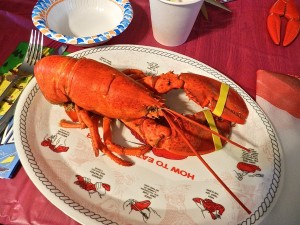 Cooked Maine Lobster