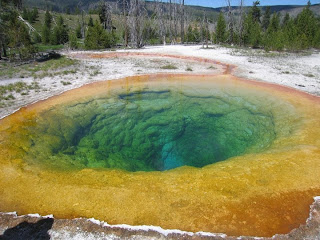 bus tours us national parks