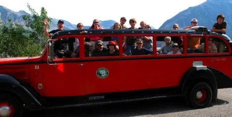 Red Bus Tour.