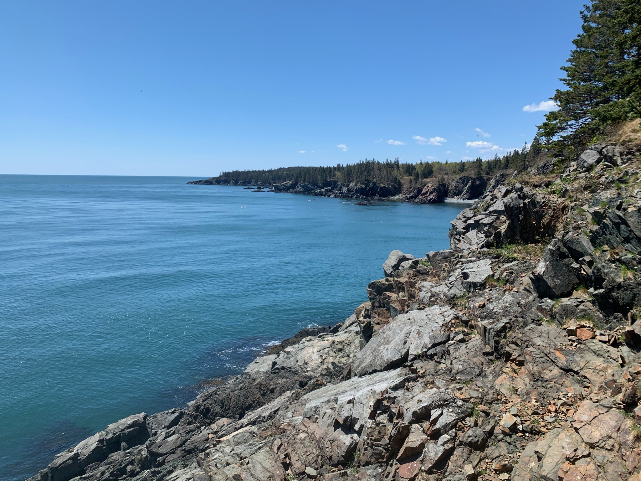 Explore the Bold Coast of Maine with Adventure Bus