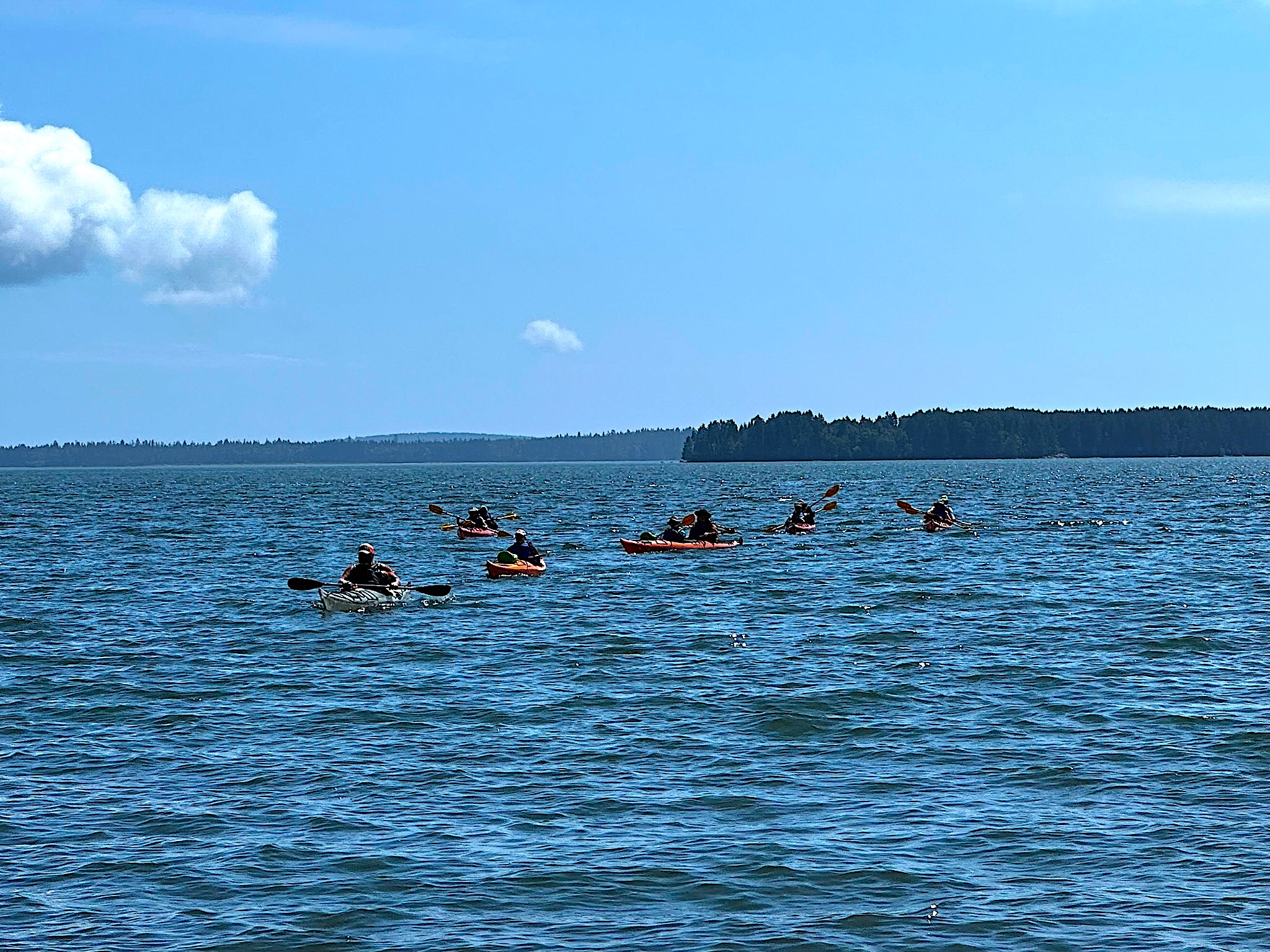 Machias Bay Kayaking