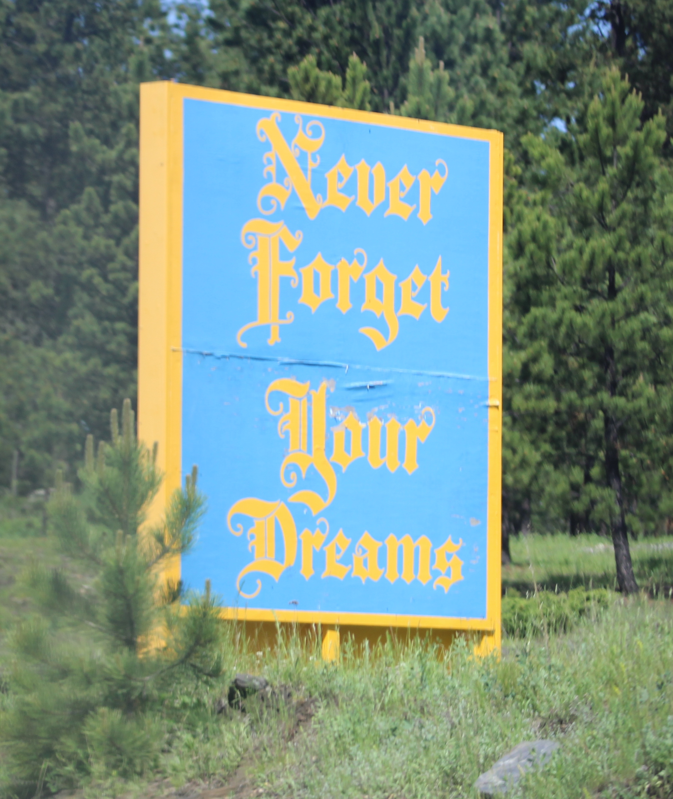 Never Forget Your Dreams