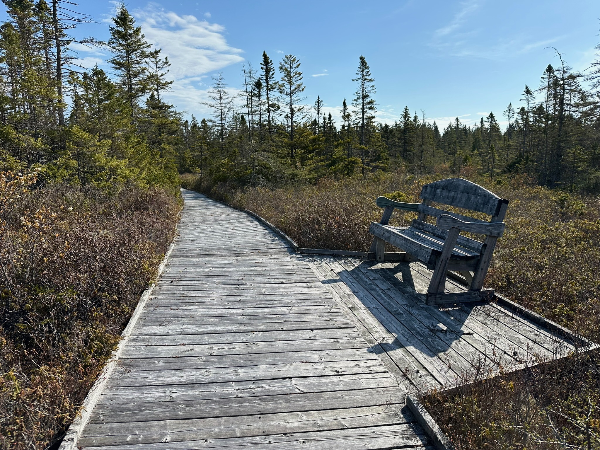 Eagle Hill Bog